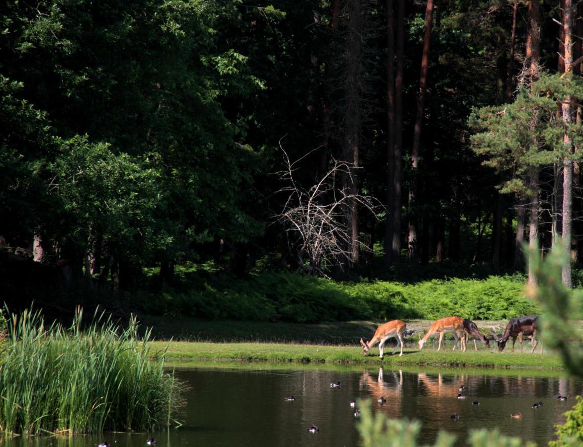 Mulde Gard Och Fritid Villa Klintehamn Luaran gambar